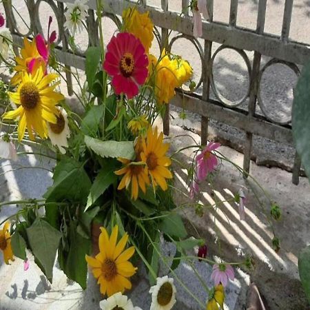 Beso-House Apartment Borjomi ภายนอก รูปภาพ