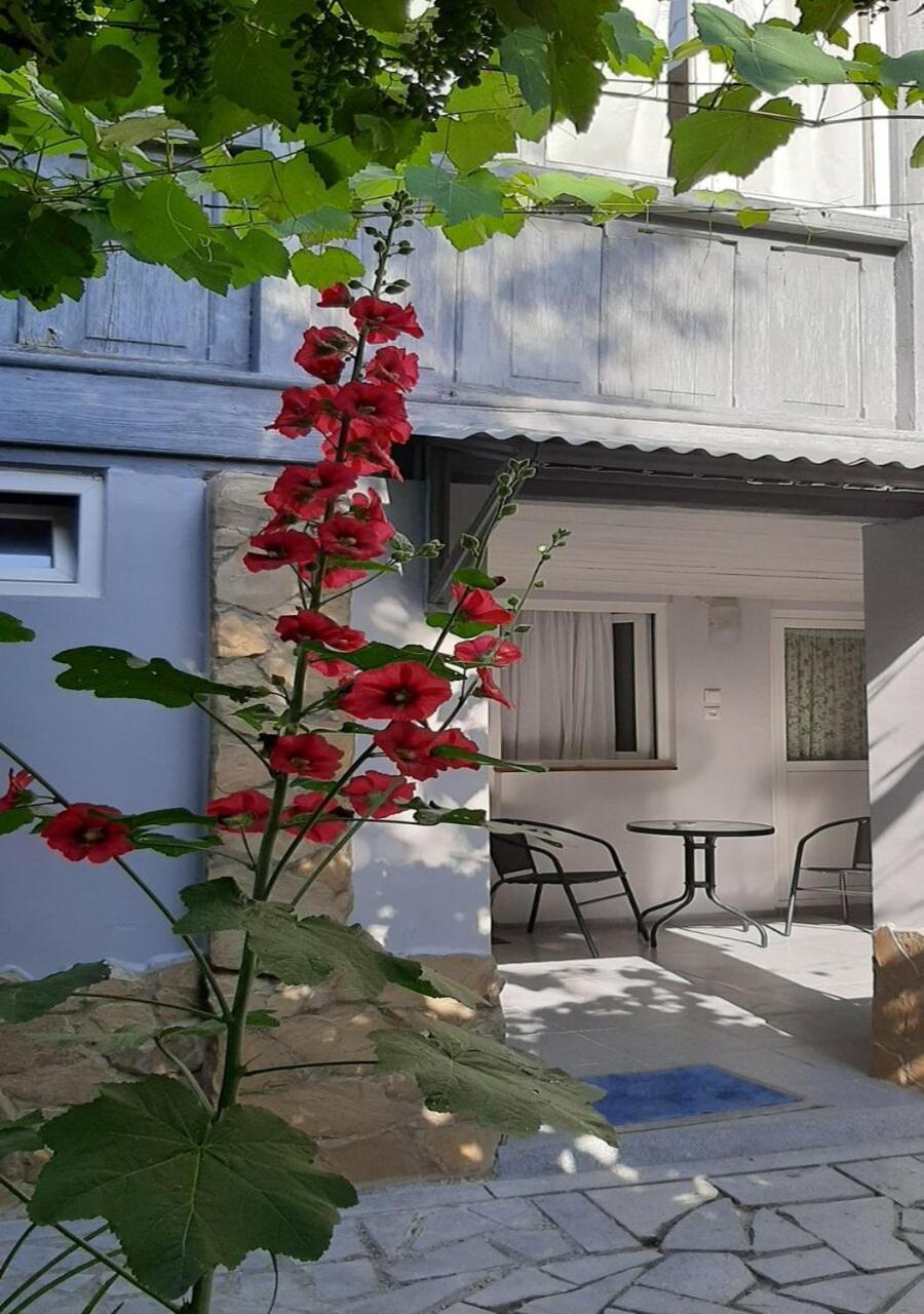 Beso-House Apartment Borjomi ภายนอก รูปภาพ